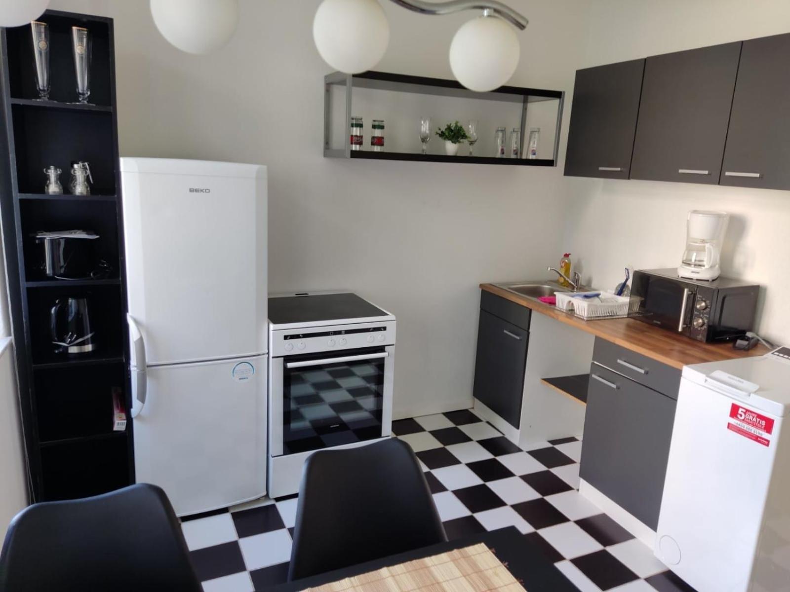 Flex Aparts - Grosse, Moeblierte Wohnung In Zwickau Mit 2 Zimmern Bagian luar foto